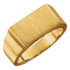 09.00x15.00 mm Men's Signet Ring with Brush Finished Top in 10K Yellow Gold ( Size 10 )