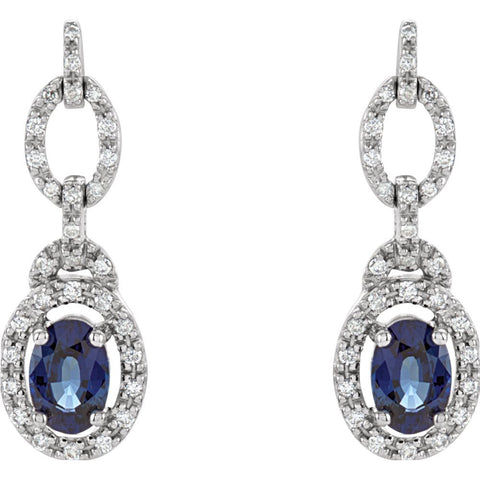 14k White Gold 1/4 CTW Diamond & Blue Sapphire Earrings