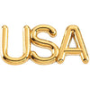 14k White Gold USA Lapel Pin